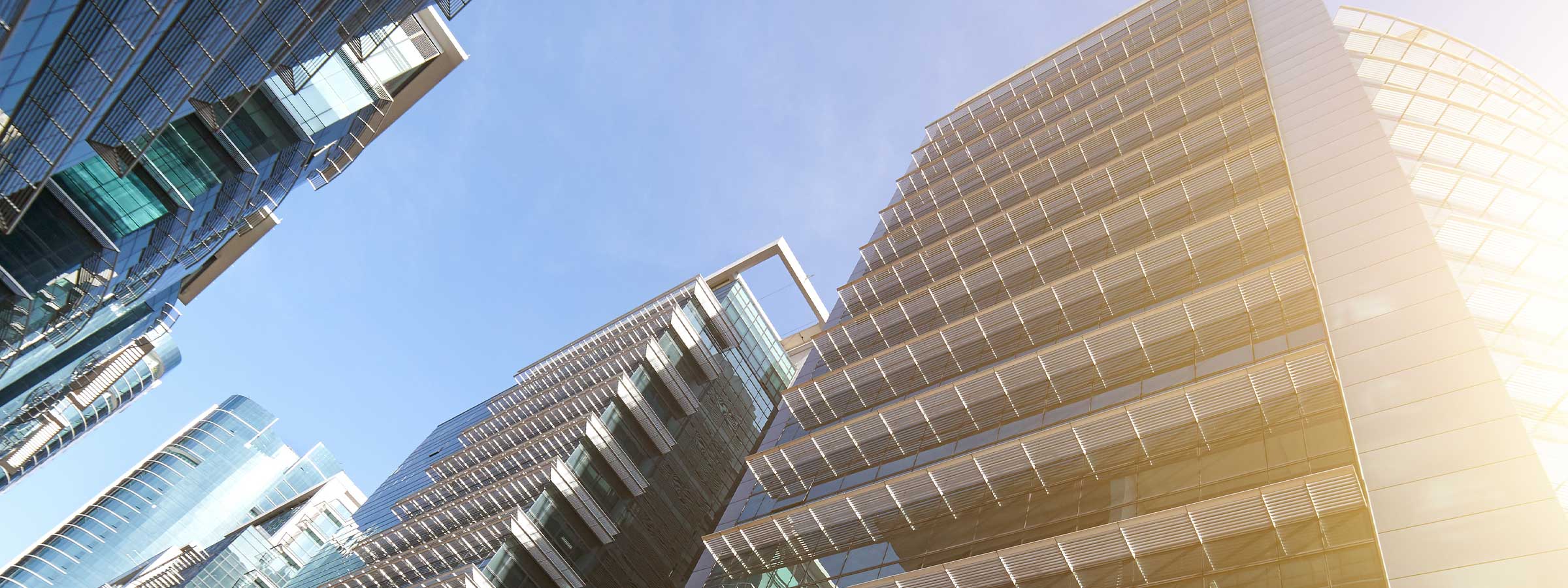 Private Detective vs. Internal Investigation