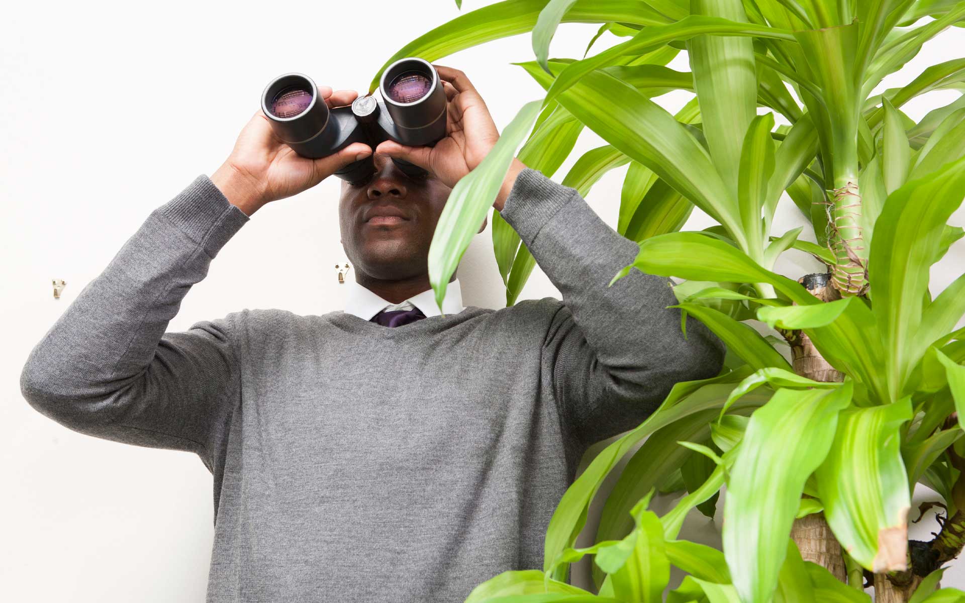 What Does a Private Investigator Really Do?